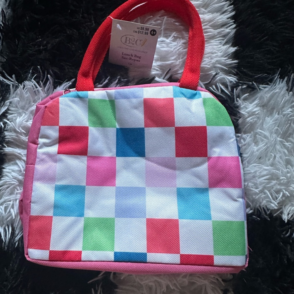 B2C, Multi-Color Checker Design Insulated Lunch Bag Tote with Handles
